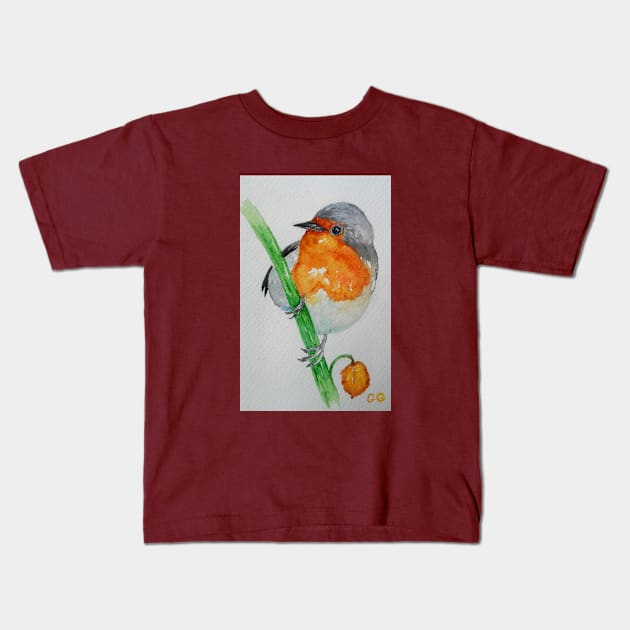 Beautiful Robin - bird art Kids T-Shirt by GarryGreenwood